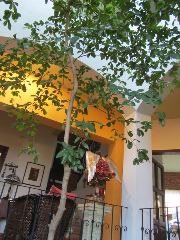 La Colorada Bed and Breakfast Zacualpan Zewnętrze zdjęcie